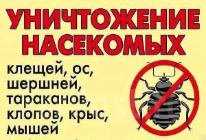 Уничтожение тараканов и клопов, муравьев. Дезинфекция и фумигация Город Йошкар-Ола 8T3PR.jpg